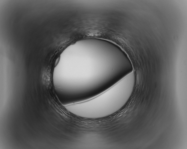 X0000088361444200705220723