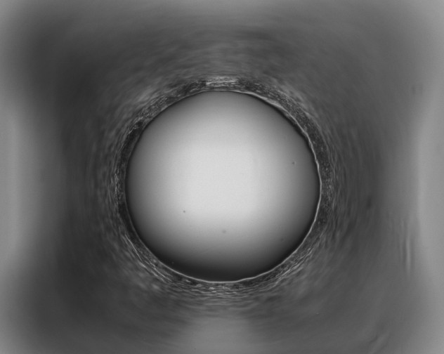 X0000088361445200705220723