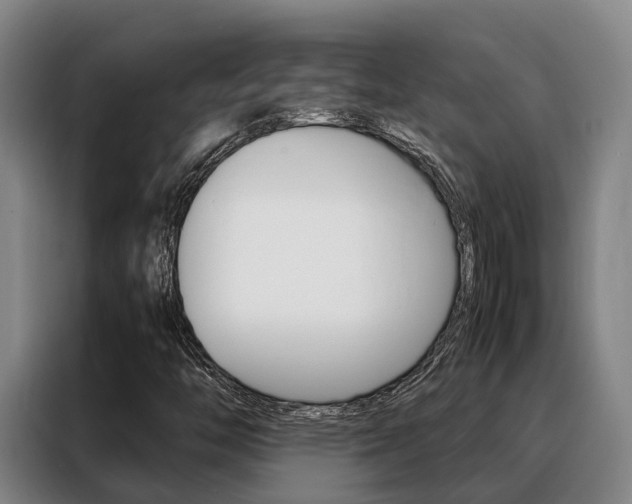 X0000088361446200705220723