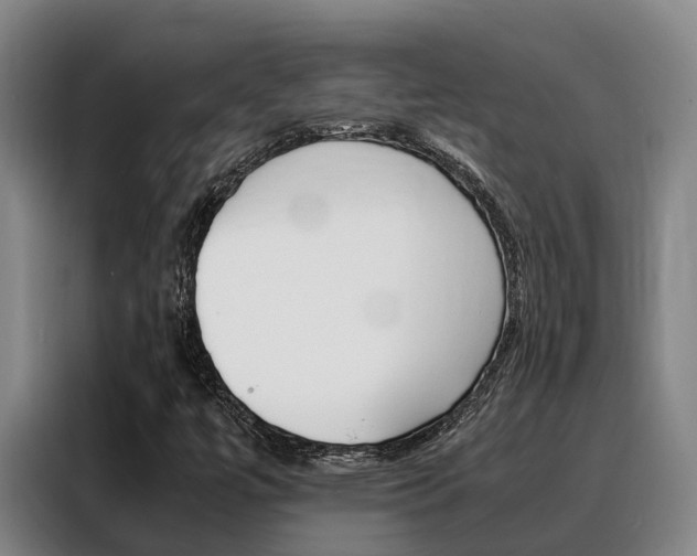 X0000088361447200705220723