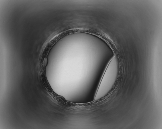X0000088361448200705220723