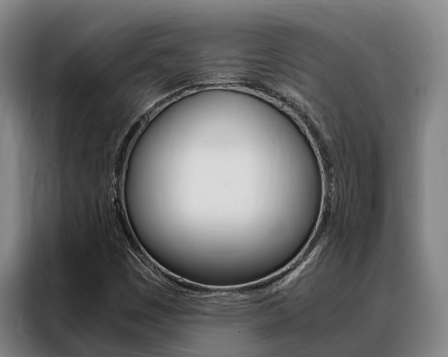 X0000088361449200705220723