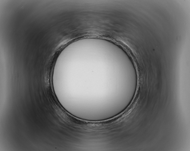 X0000088361451200705220723