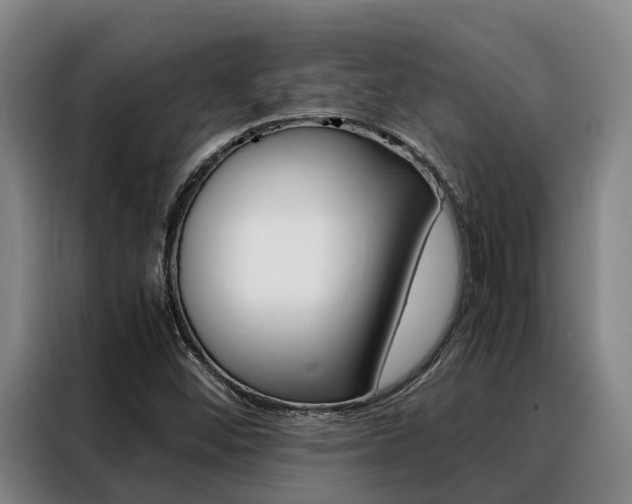 X0000088361452200705220723