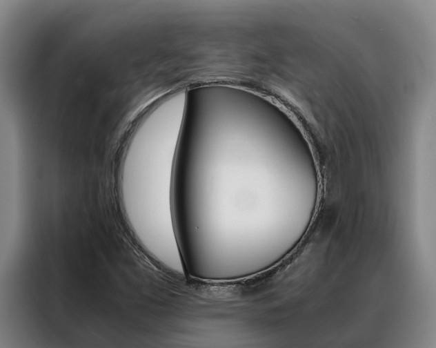 X0000088361453200705220723