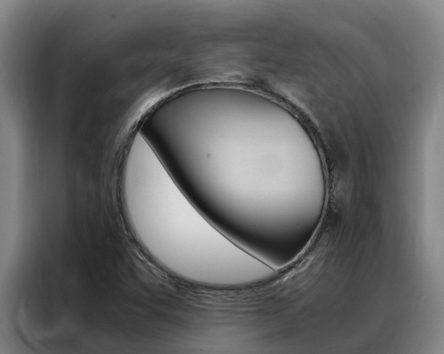 X0000088361455200705220723