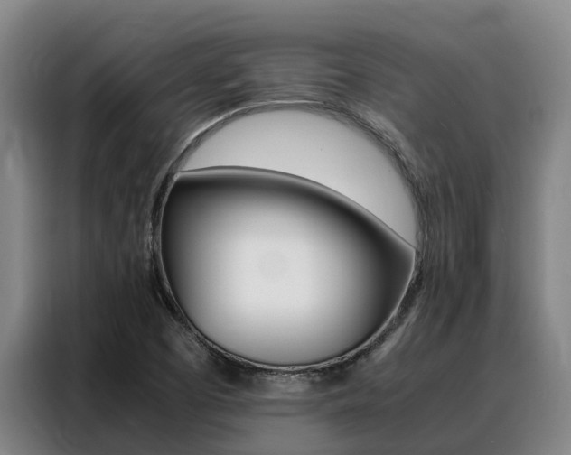 X0000088361457200705220723
