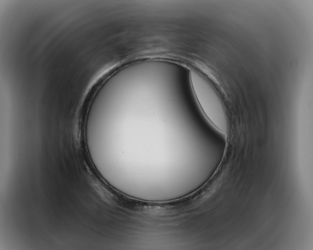 X0000088361458200705220723