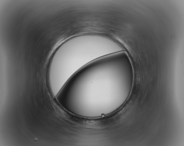 X0000088361459200705220723
