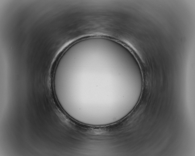 X0000088361460200705220723