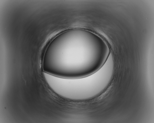 X0000088361461200705220723
