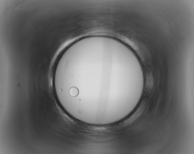 X0000088361462200705220723