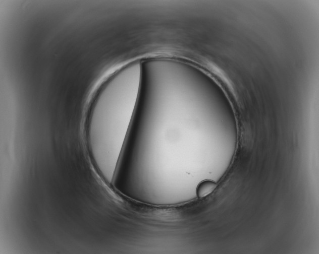 X0000088361464200705220723