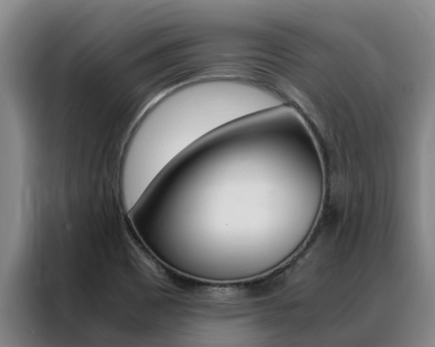 X0000088361465200705220723