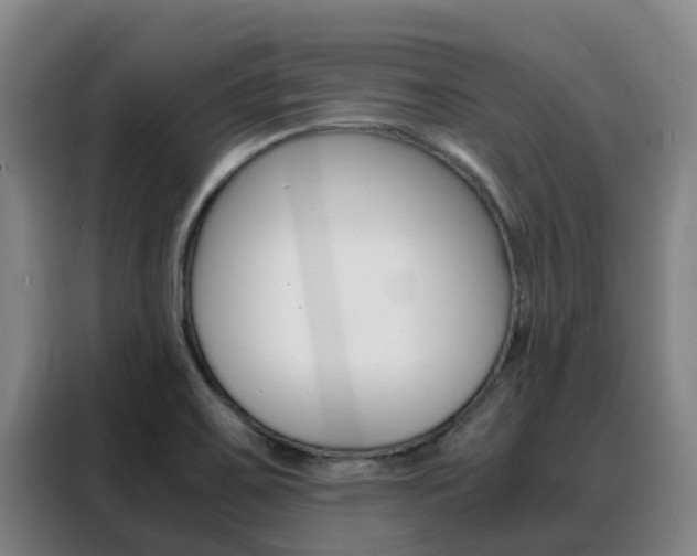 X0000088361467200705220723