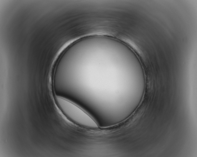 X0000088361468200705220723