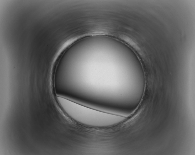X0000088361469200705220723