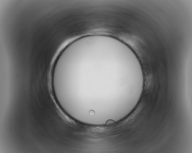 X0000088361470200705220723