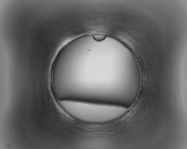 X0000088361471200705220723