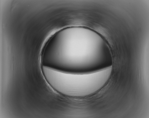 X0000088361472200705220723