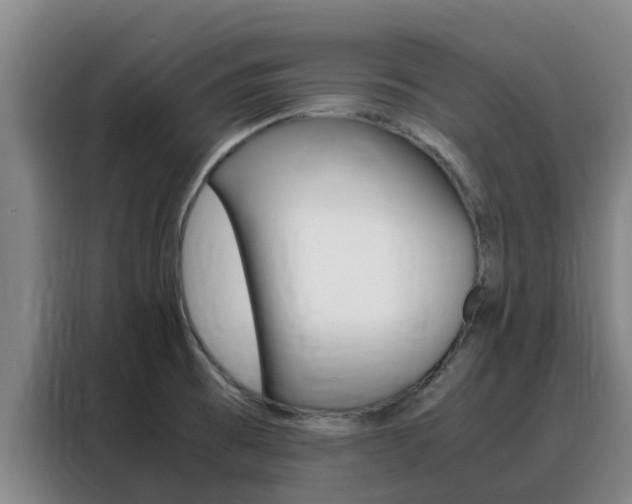 X0000088361473200705220723