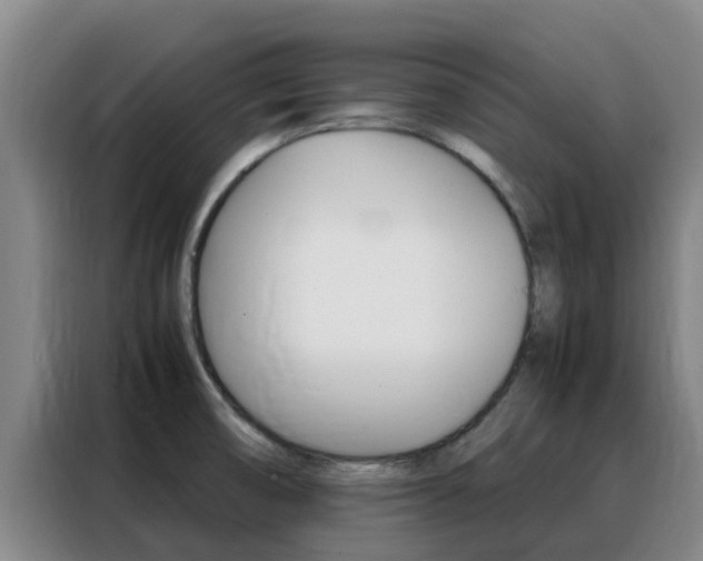 X0000088361474200705220723