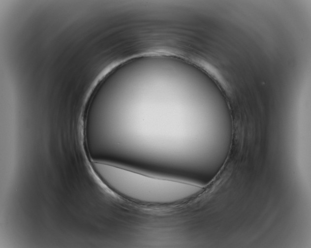 X0000088361476200705220723