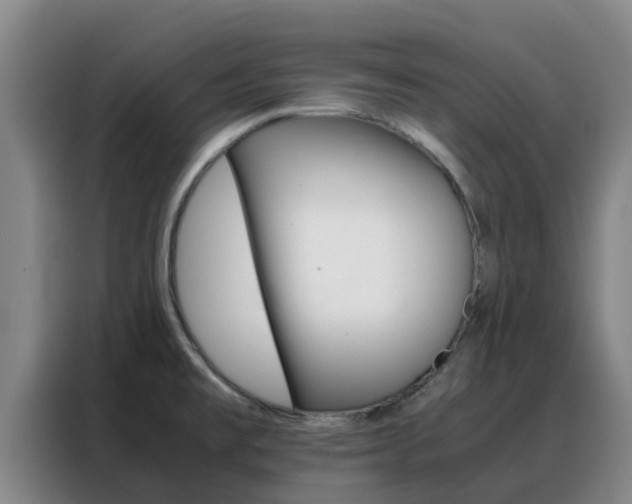 X0000088361477200705220723
