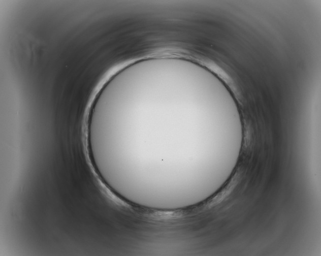 X0000088361478200705220723
