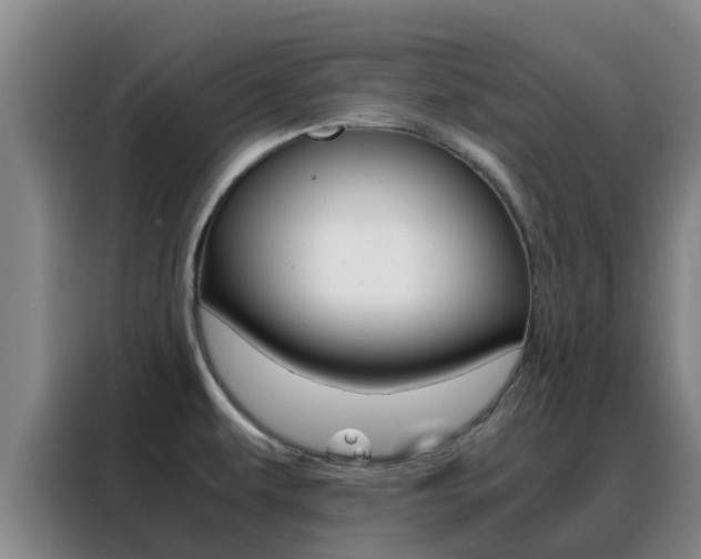 X0000088361479200705220723