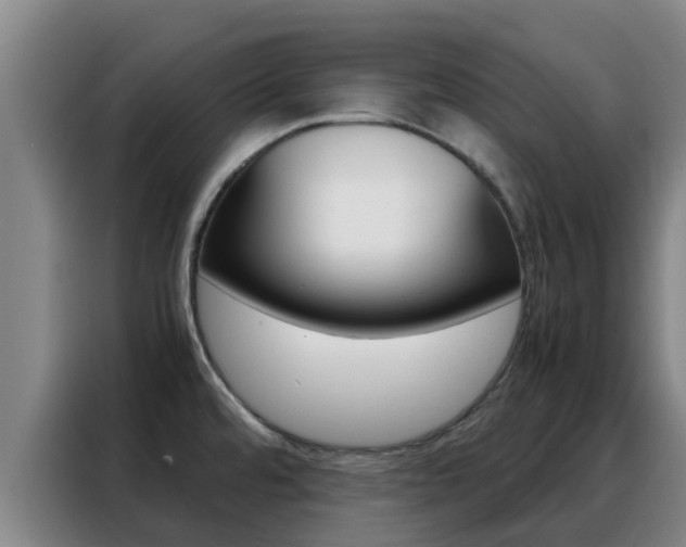 X0000088361480200705220723