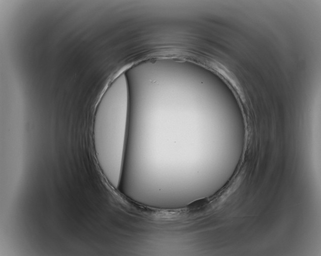 X0000088361481200705220723