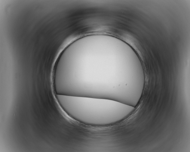 X0000088361482200705220723