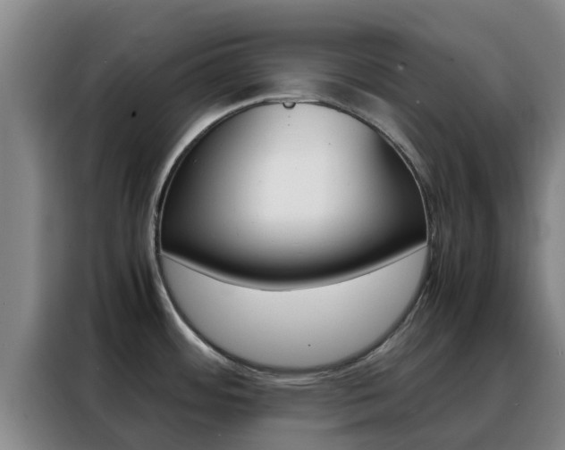 X0000088361484200705220723