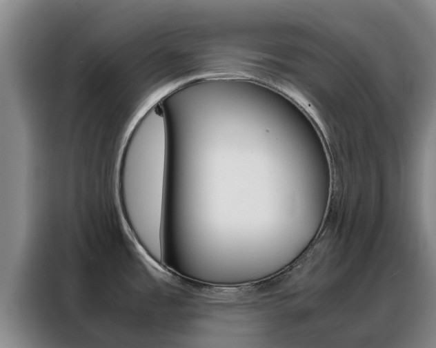 X0000088361485200705220723