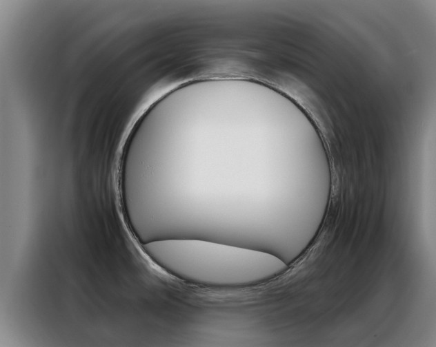 X0000088361486200705220723