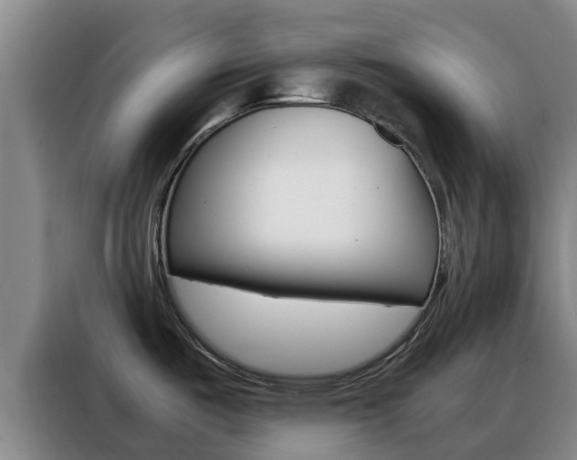 X0000088361487200705220723