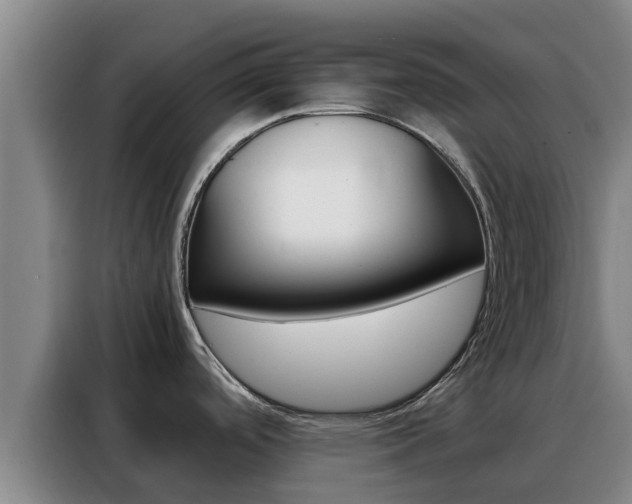 X0000088361488200705220723