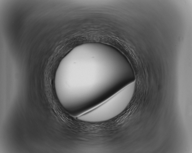 X0000088361489200705220722