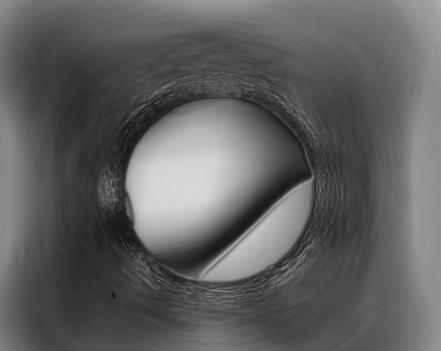 X0000088361490200705220722