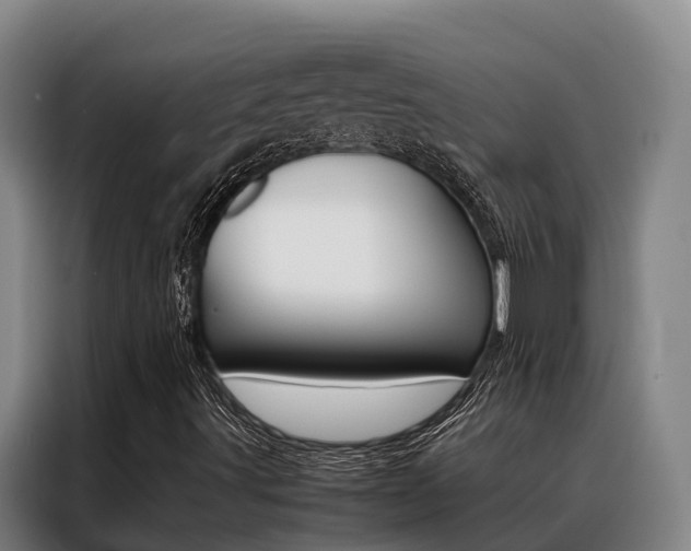 X0000088361491200705220722