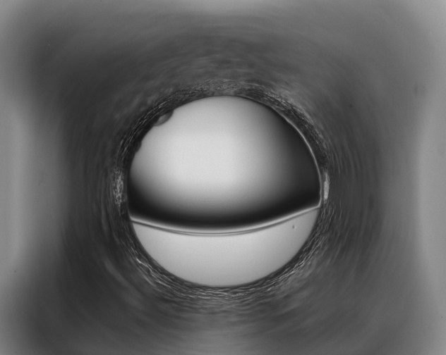 X0000088361492200705220722