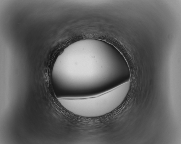 X0000088361493200705220722