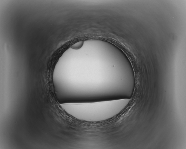 X0000088361494200705220722