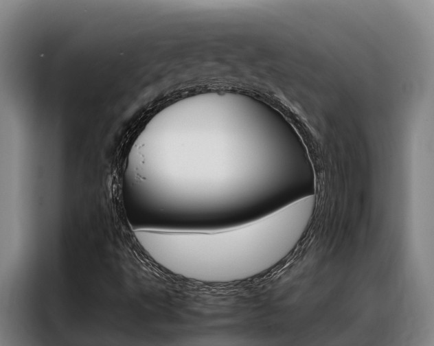 X0000088361495200705220722