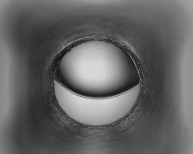 X0000088361496200705220722