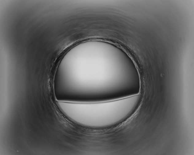 X0000088361497200705220722