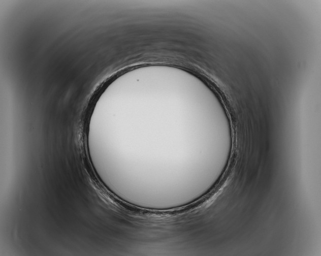 X0000088361498200705220722