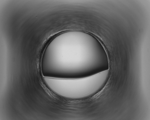 X0000088361499200705220722