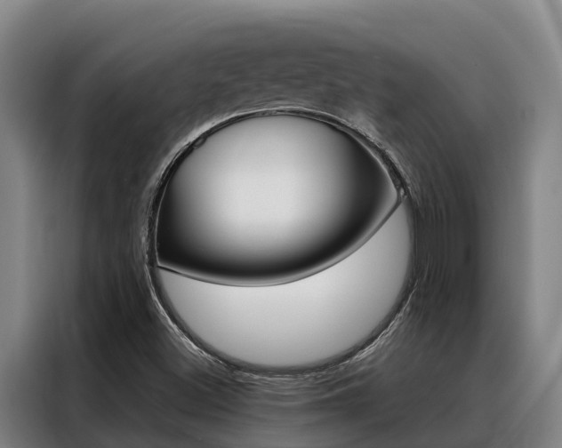 X0000088361500200705220722
